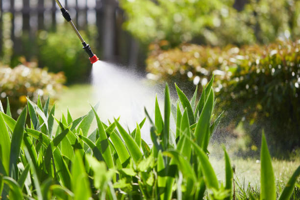 24/7 Emergency Wasp Removal experts in Burlingame, CA